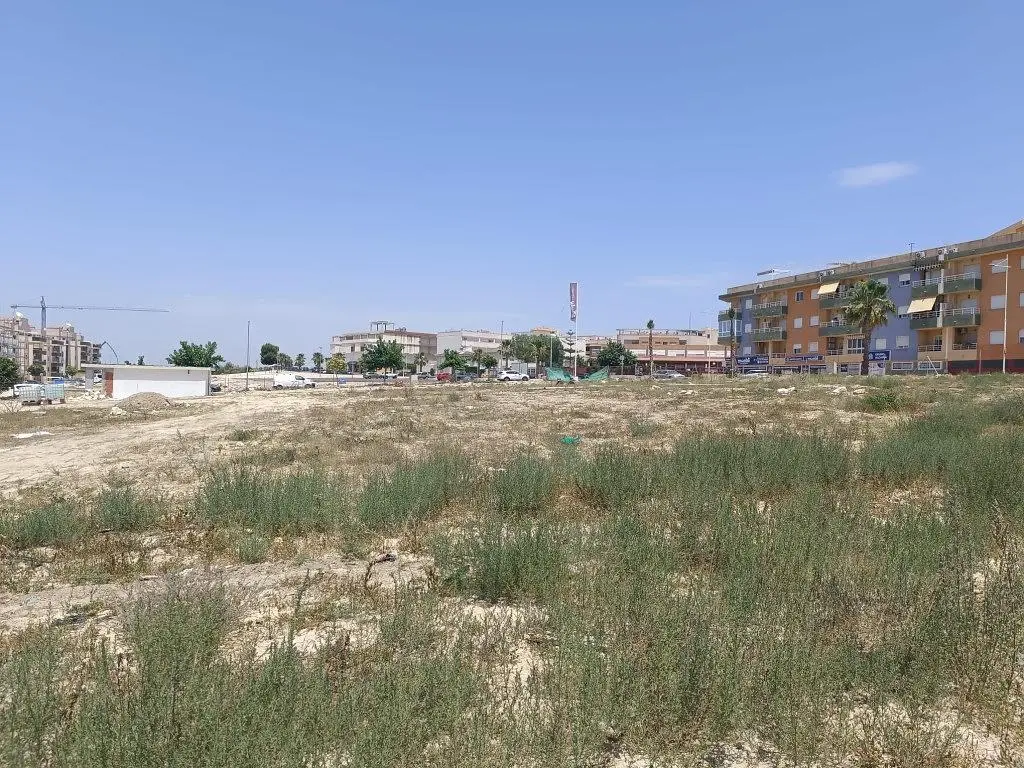 Diğer