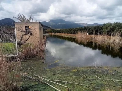 Ostalo