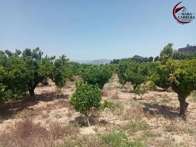 Ostalo