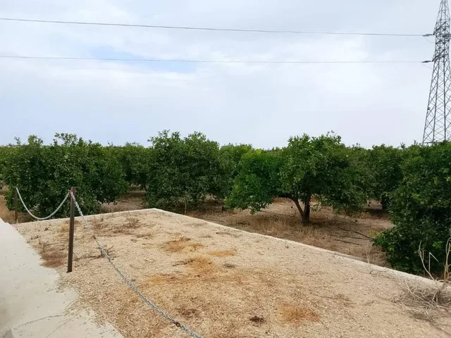 Ostatní