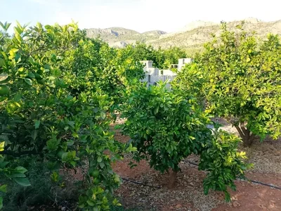 Ostalo