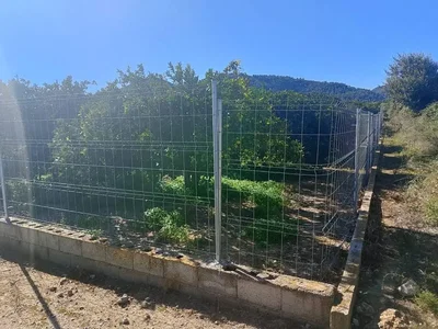 Ostatní