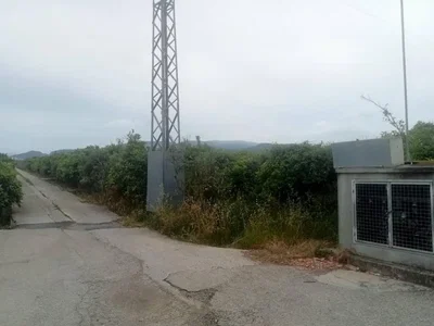 Ostatní