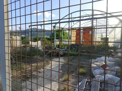Ostatní