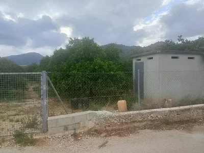 Ostatní