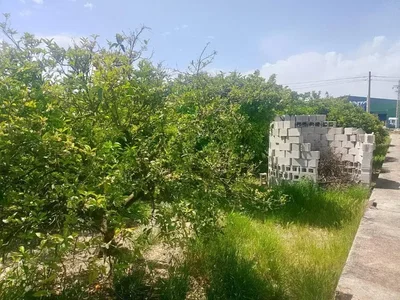 Остало