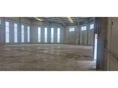 Diğer