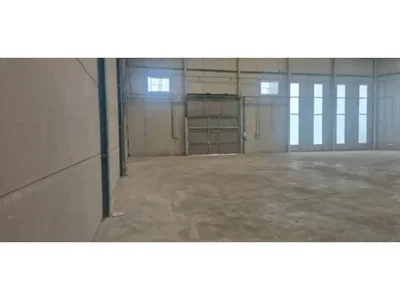 Diğer