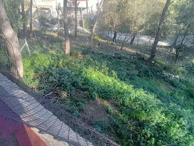 Diğer