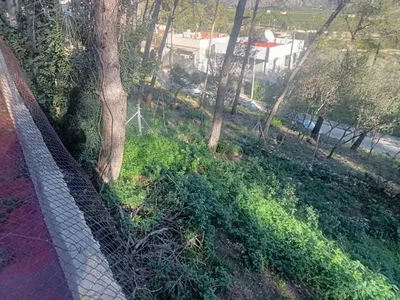 Diğer