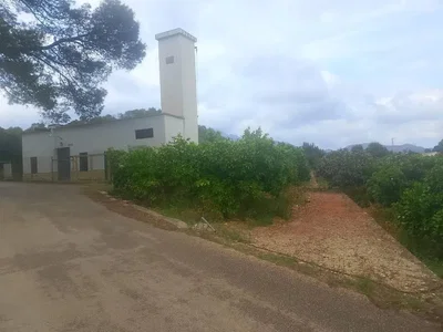 Ostatní