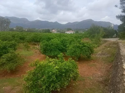 Ostatní