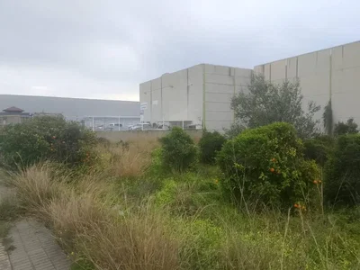 Diğer
