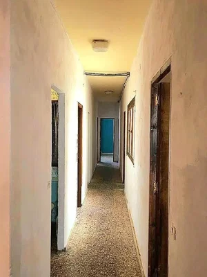 Diğer