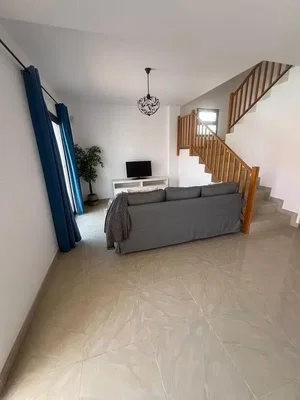 Diğer