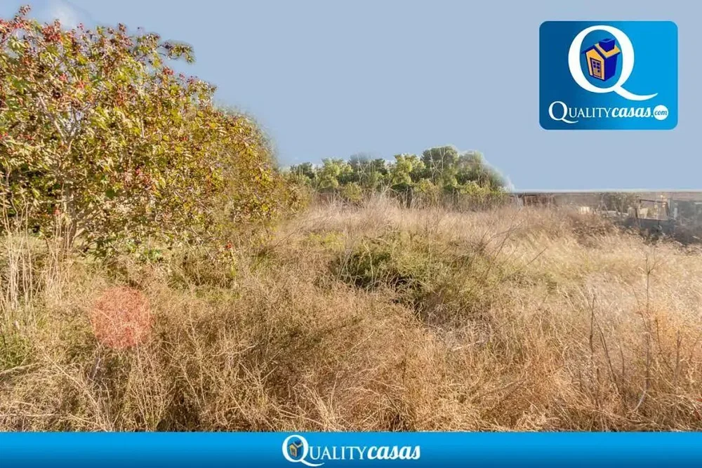 Ostale