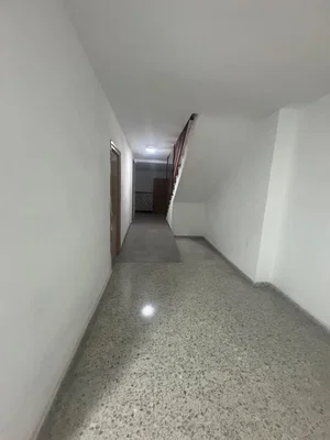 Diğer