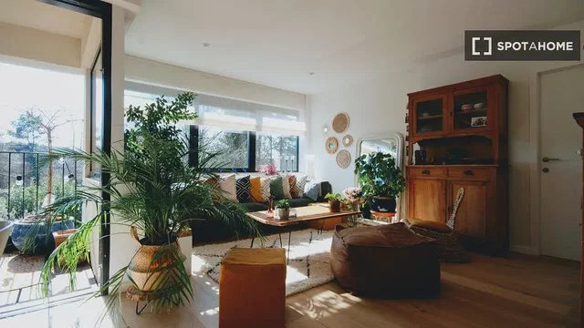 Salón