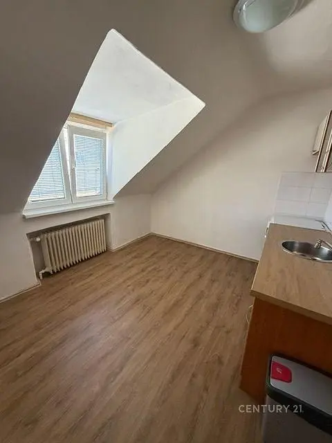 Ostatní