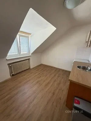 Ostatní