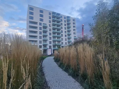Ostatní
