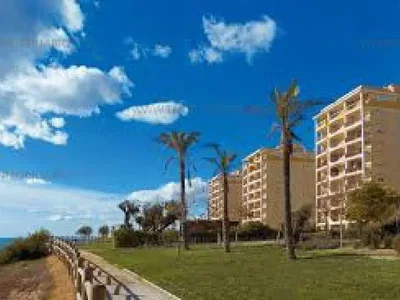 Diğer
