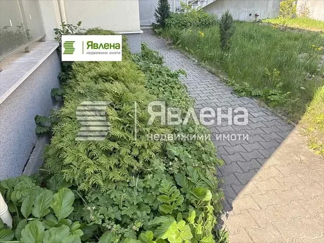 Σαλόνι