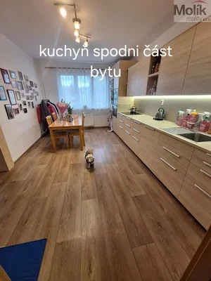 Ostatní