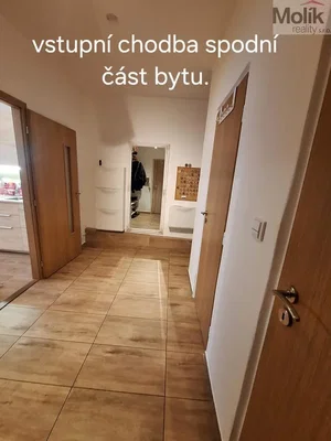 Ostatní