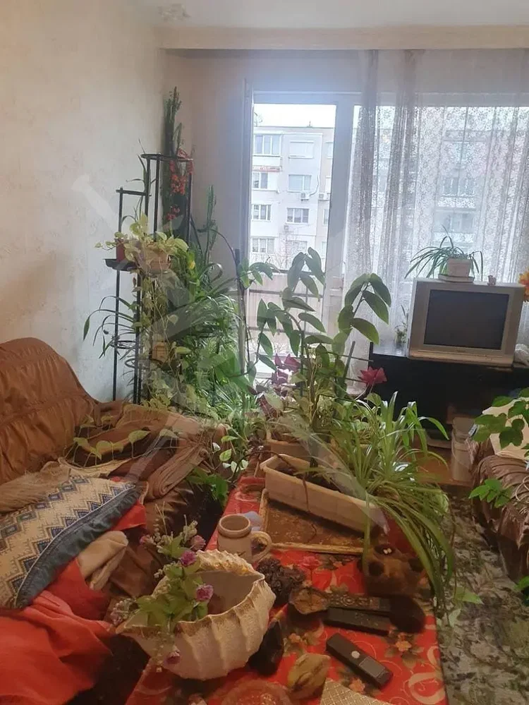 Дневна соба