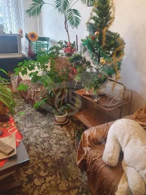 Дневна соба