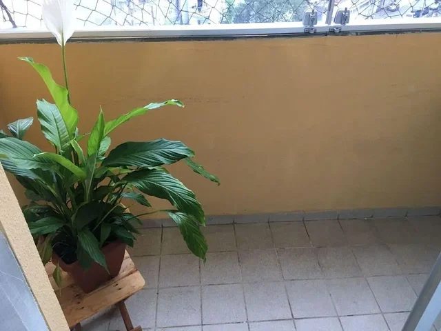 Άλλο