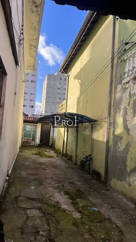 Diğer