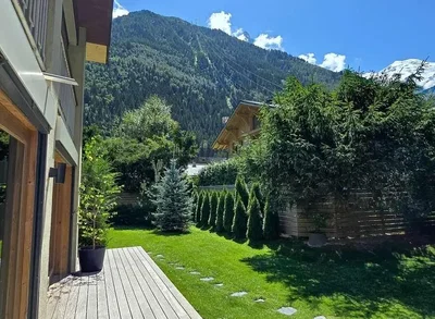 Diğer