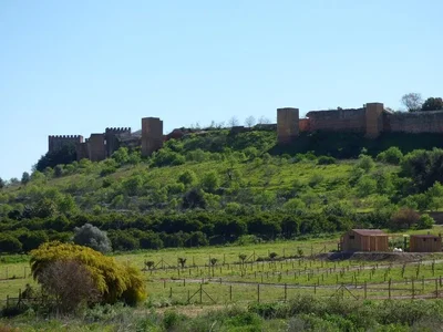 Diğer