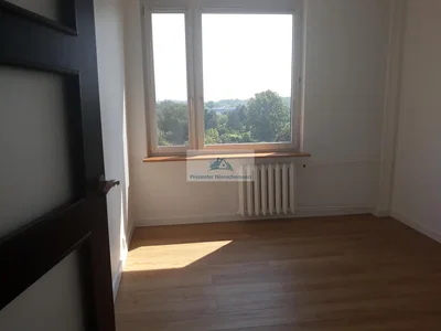 Ostatní
