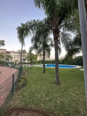 Diğer