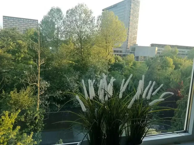 Dnevna soba