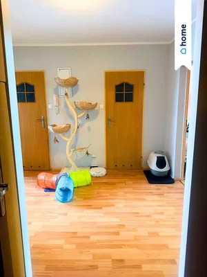 Остало