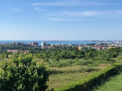 Ostale