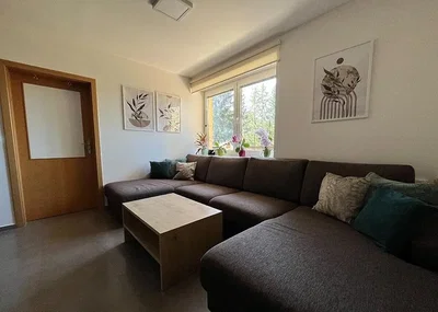 Diğer