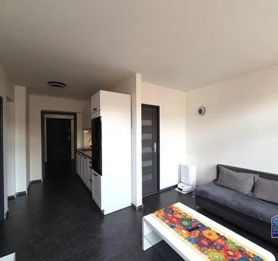 Diğer
