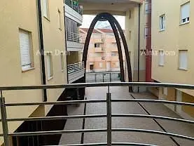Diğer