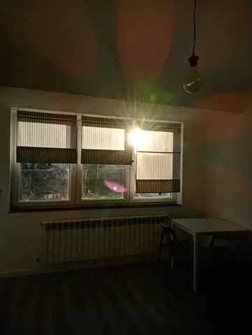 Остало