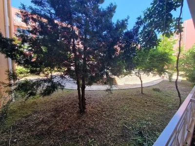Σαλόνι