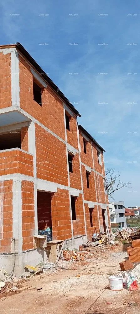 Diğer