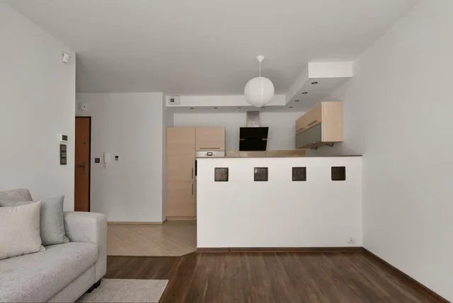 Living room; wood floor, natural light, modern style, kitchen appliances