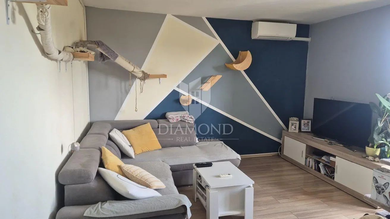 Salon; parquet, lumière naturelle, style moderne