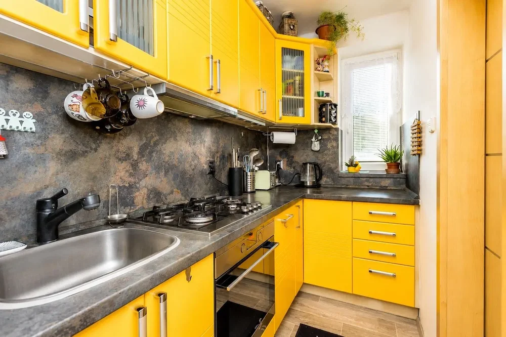Kuchyně; kuchyňské spotřebiče, přirozené světlo, moderní styl