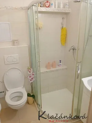 Toilettes; carrelage, nécessite rénovation